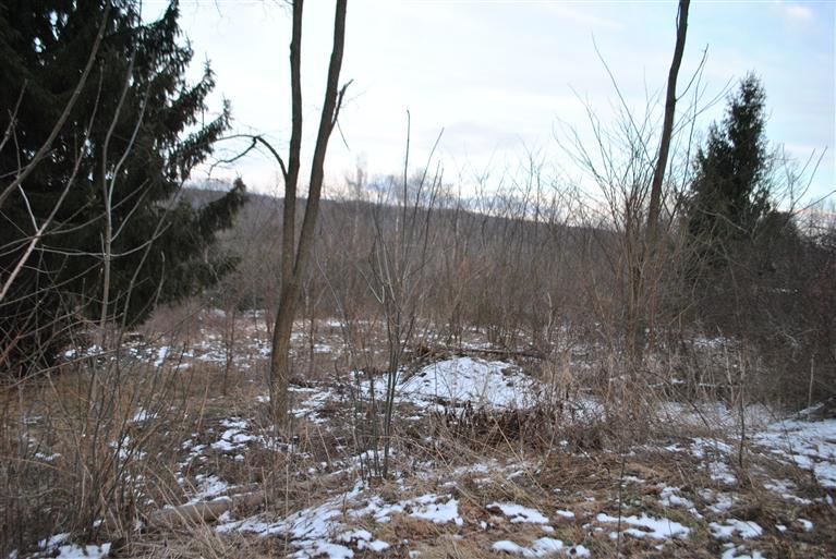 0 High Street, Afton, NY 13730