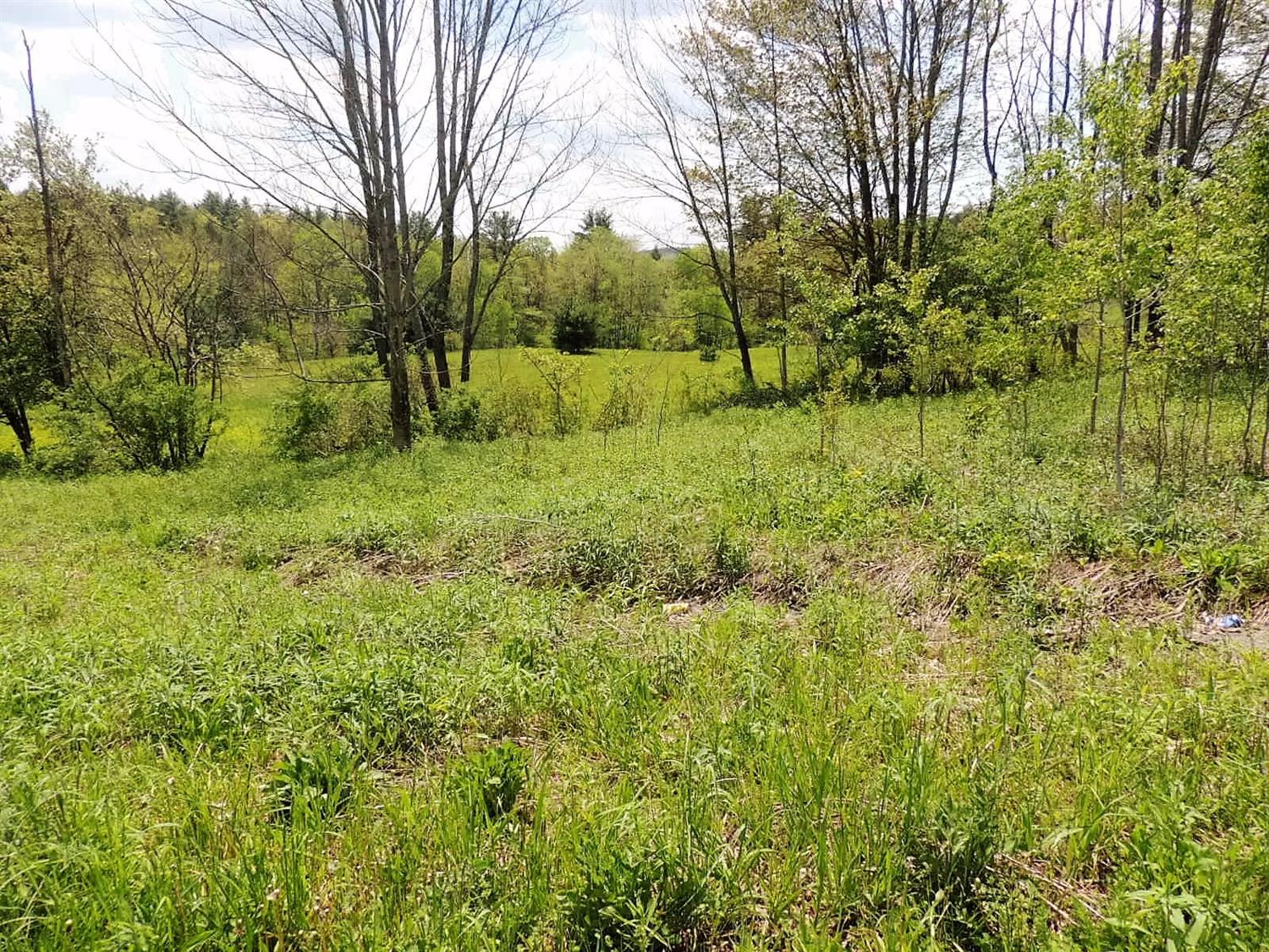 0 Tracy Road, Coventry, NY 13730
