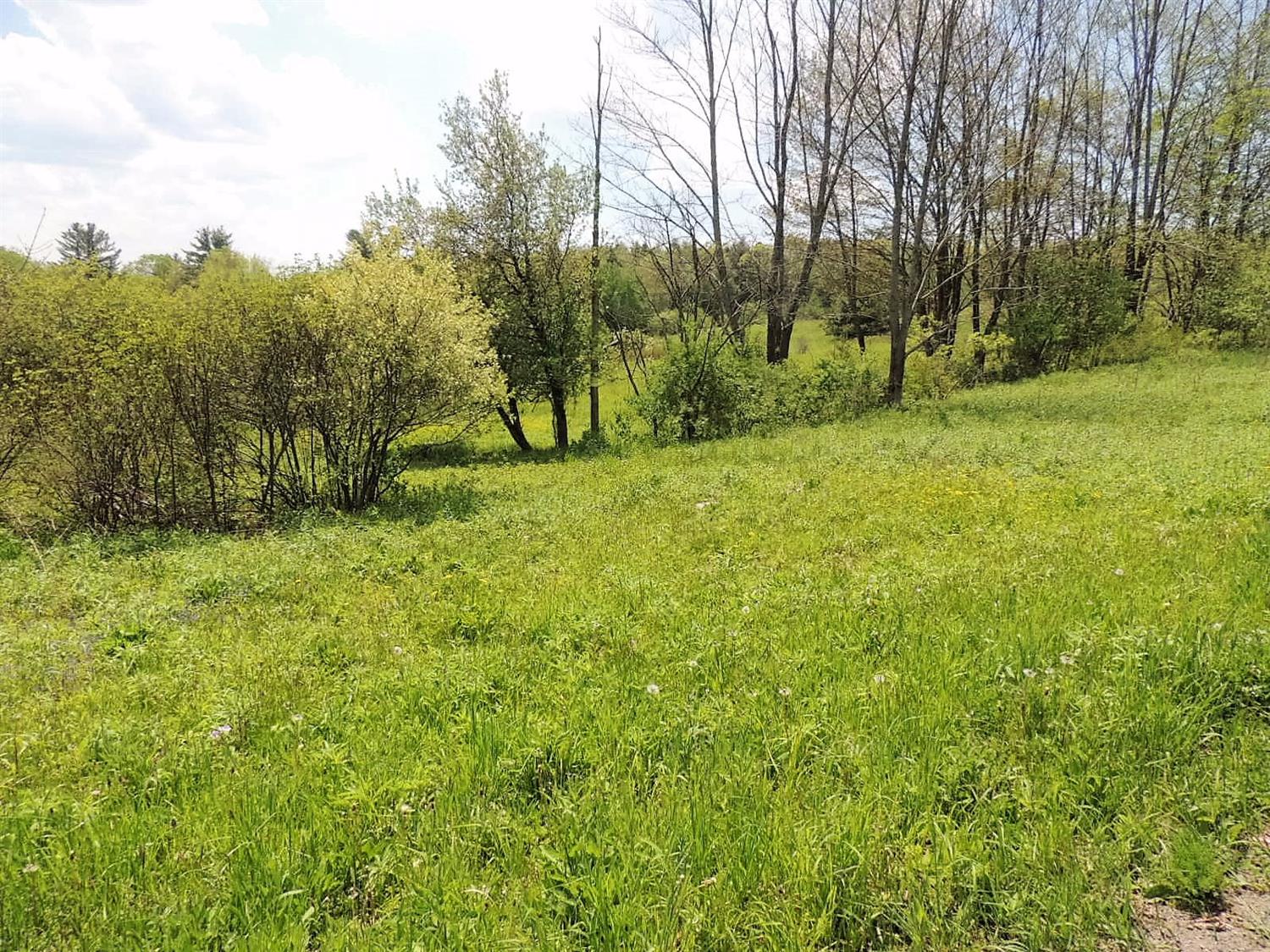 0 Tracy Road, Coventry, NY 13730