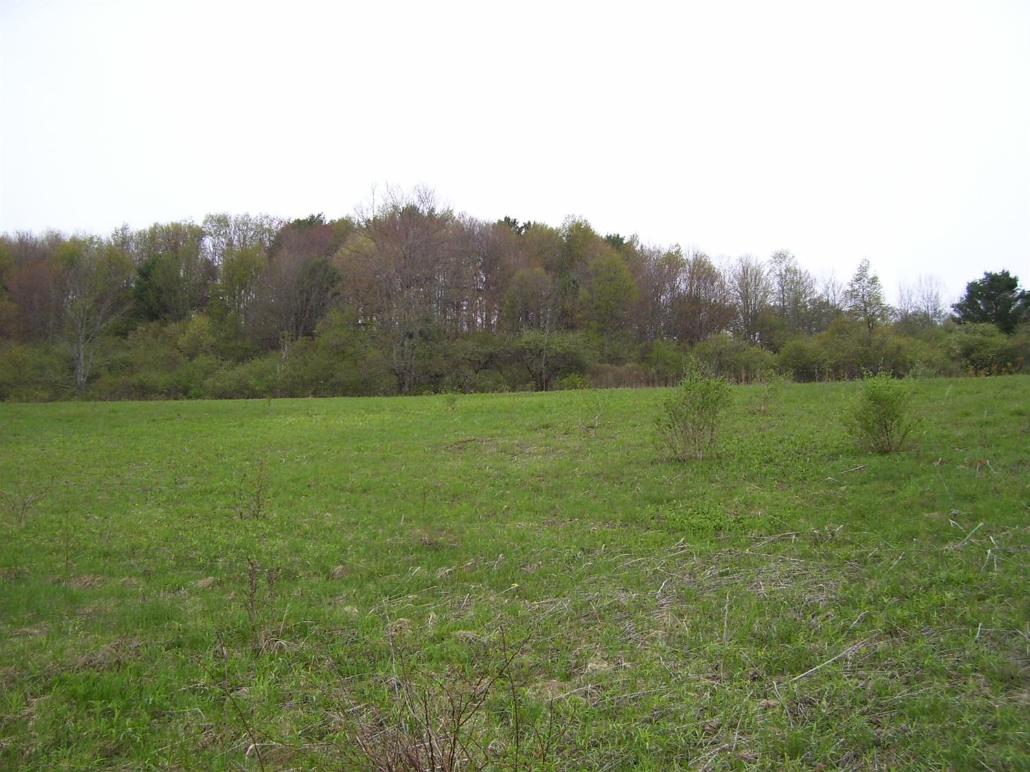 0 State Highway 235, Afton, NY 13730