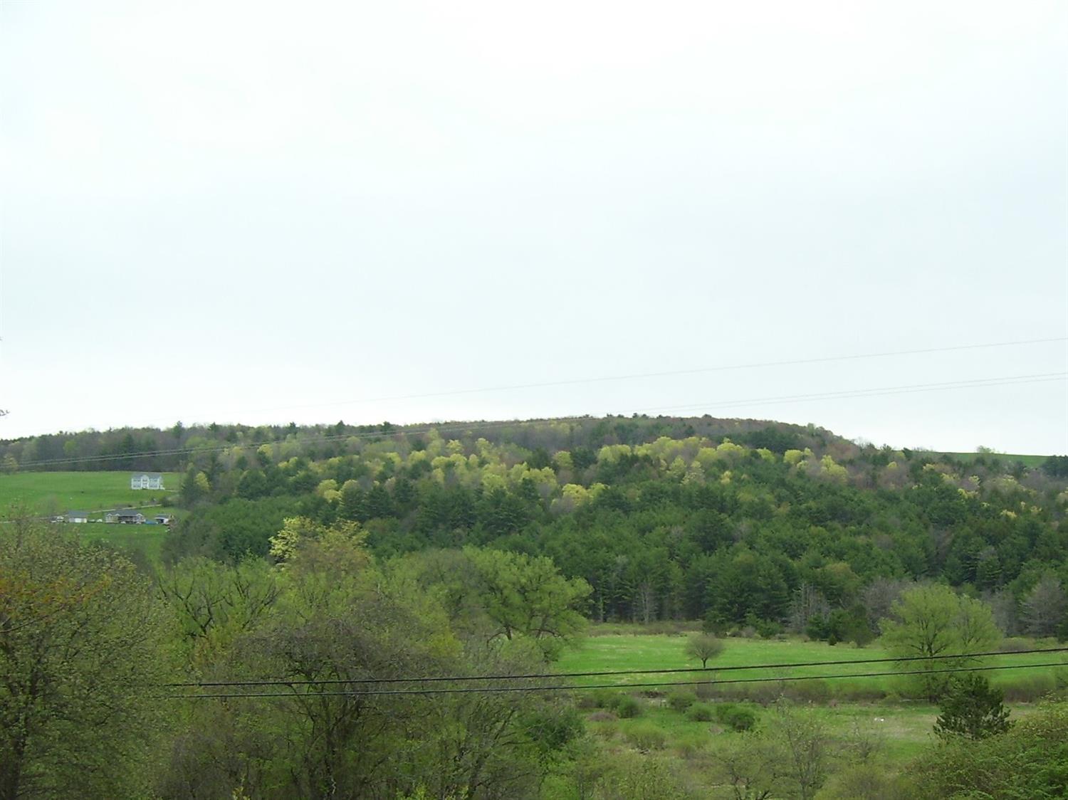 0 State Highway 235, Afton, NY 13730