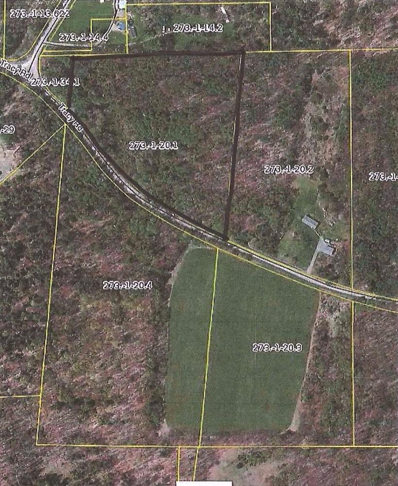 0 Tracy Road, Coventry, NY 13730