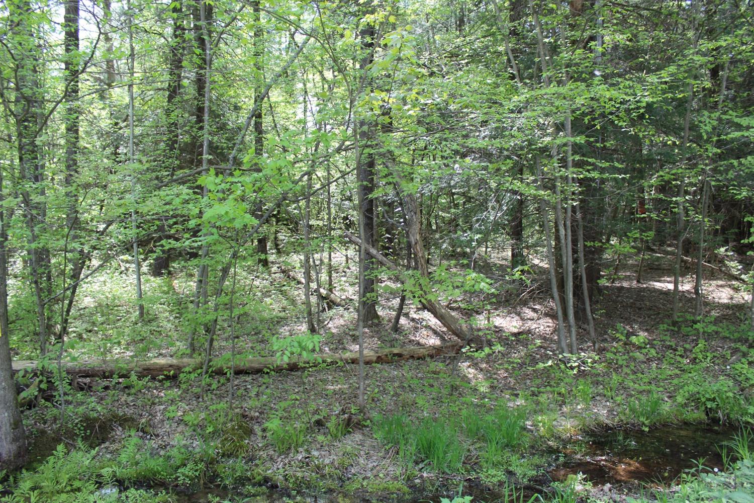 0 Tracy Road, Coventry, NY 13730