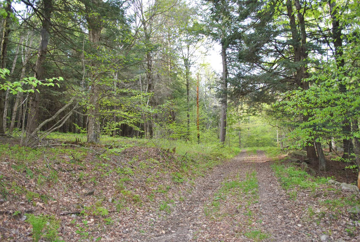 Boulder Mountain Rd, Andes, NY 13731