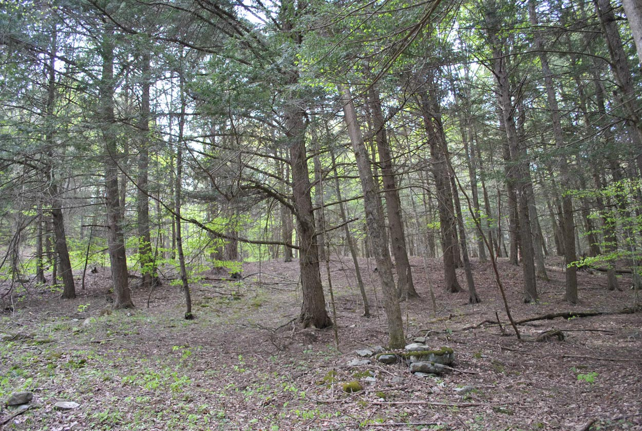 Boulder Mountain Rd, Andes, NY 13731