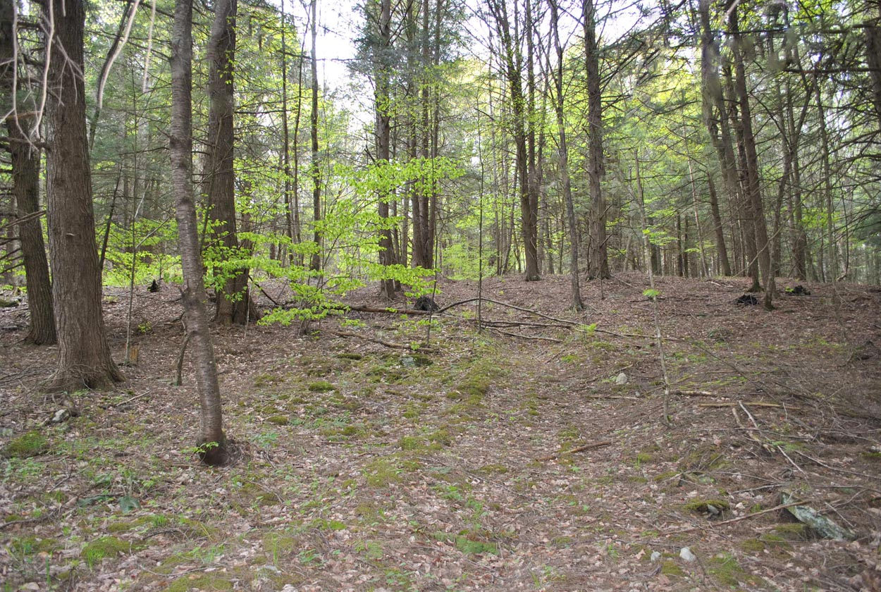 Boulder Mountain Rd, Andes, NY 13731