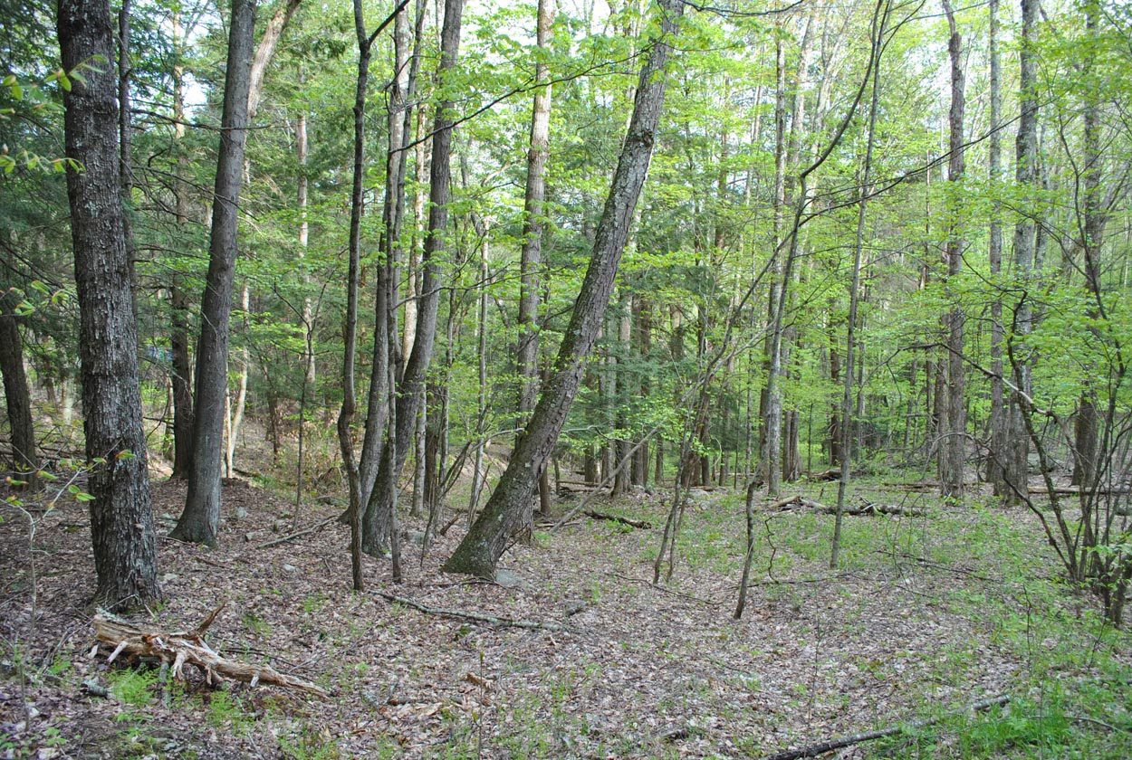 Boulder Mountain Rd, Andes, NY 13731