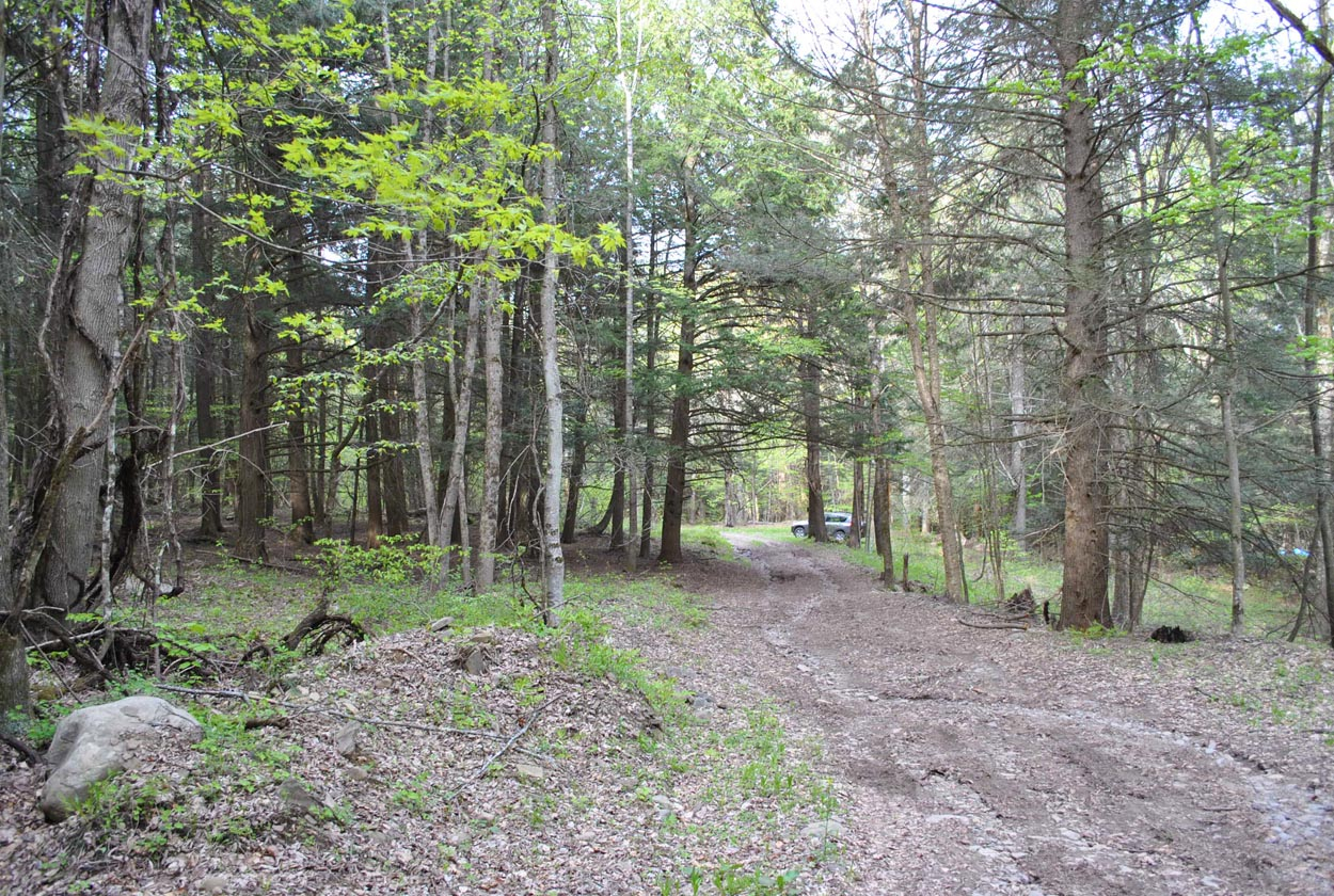 Boulder Mountain Rd, Andes, NY 13731