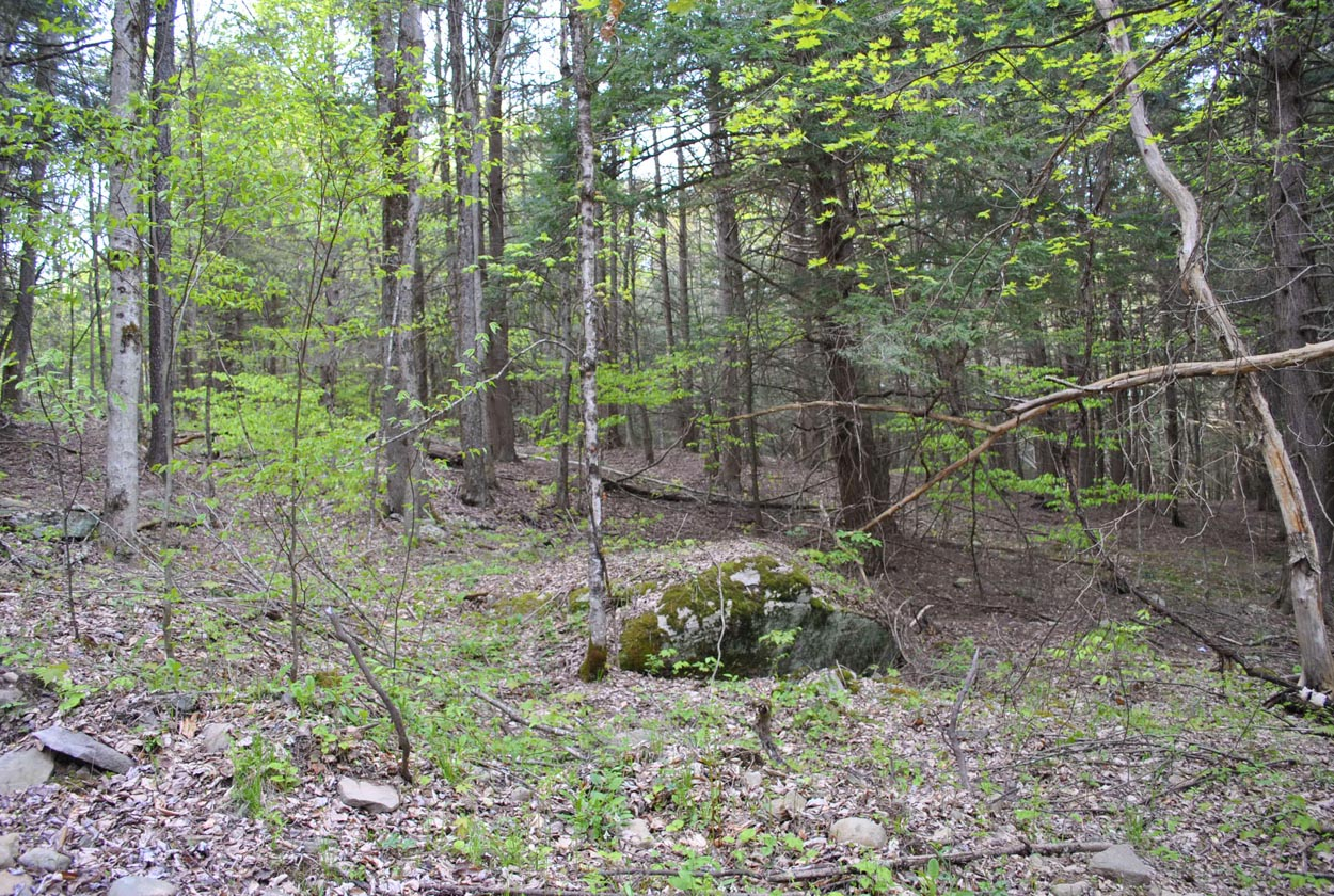 Boulder Mountain Rd, Andes, NY 13731
