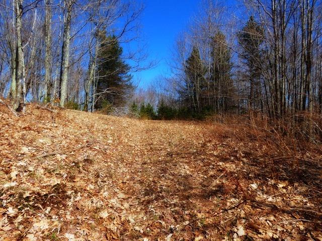 0 McMurdy Hill Rd., Kortright, NY 13739