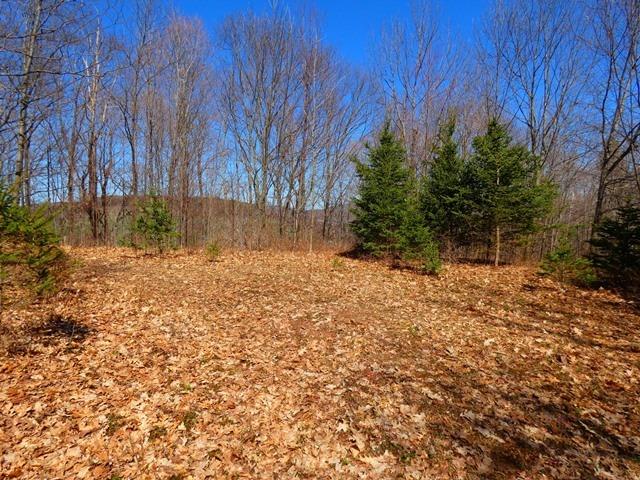 0 McMurdy Hill Rd., Kortright, NY 13739