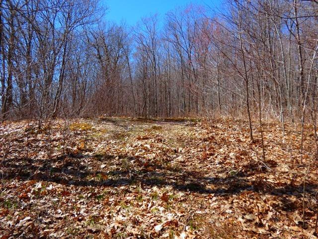 0 McMurdy Hill Rd., Kortright, NY 13739