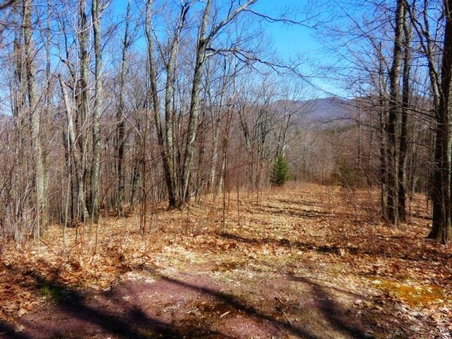0 McMurdy Hill Rd., Kortright, NY 13739