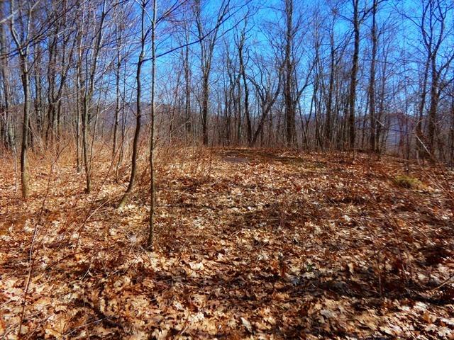 0 McMurdy Hill Rd., Kortright, NY 13739