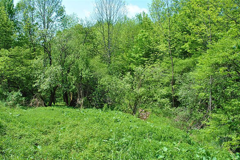 Irish Hill Road, Meredith, NY 13753