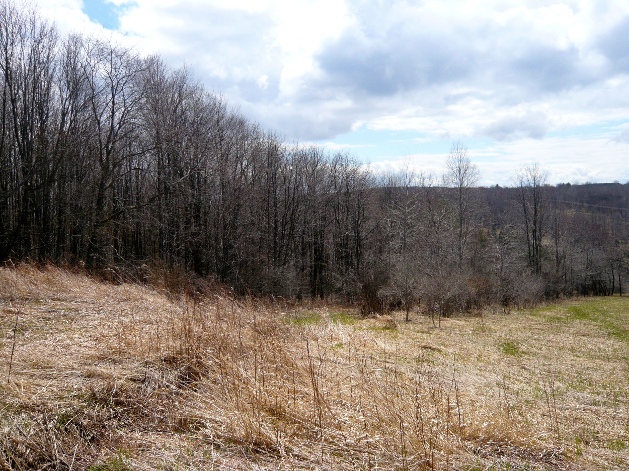 0 State Highway 28, Delhi, NY 13753