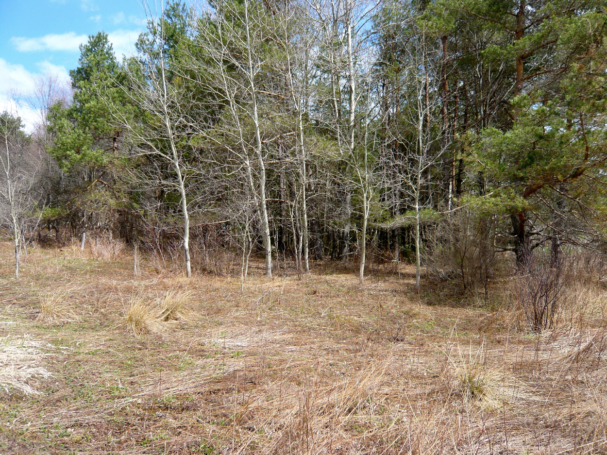 0 State Highway 28, Delhi, NY 13753