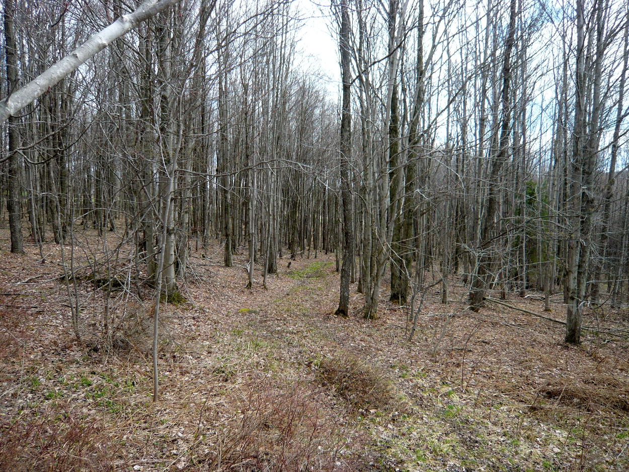 0 State Highway 28, Delhi, NY 13753