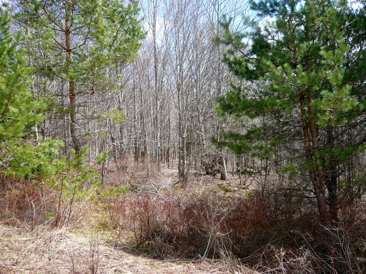 0 State Highway 28, Delhi, NY 13753