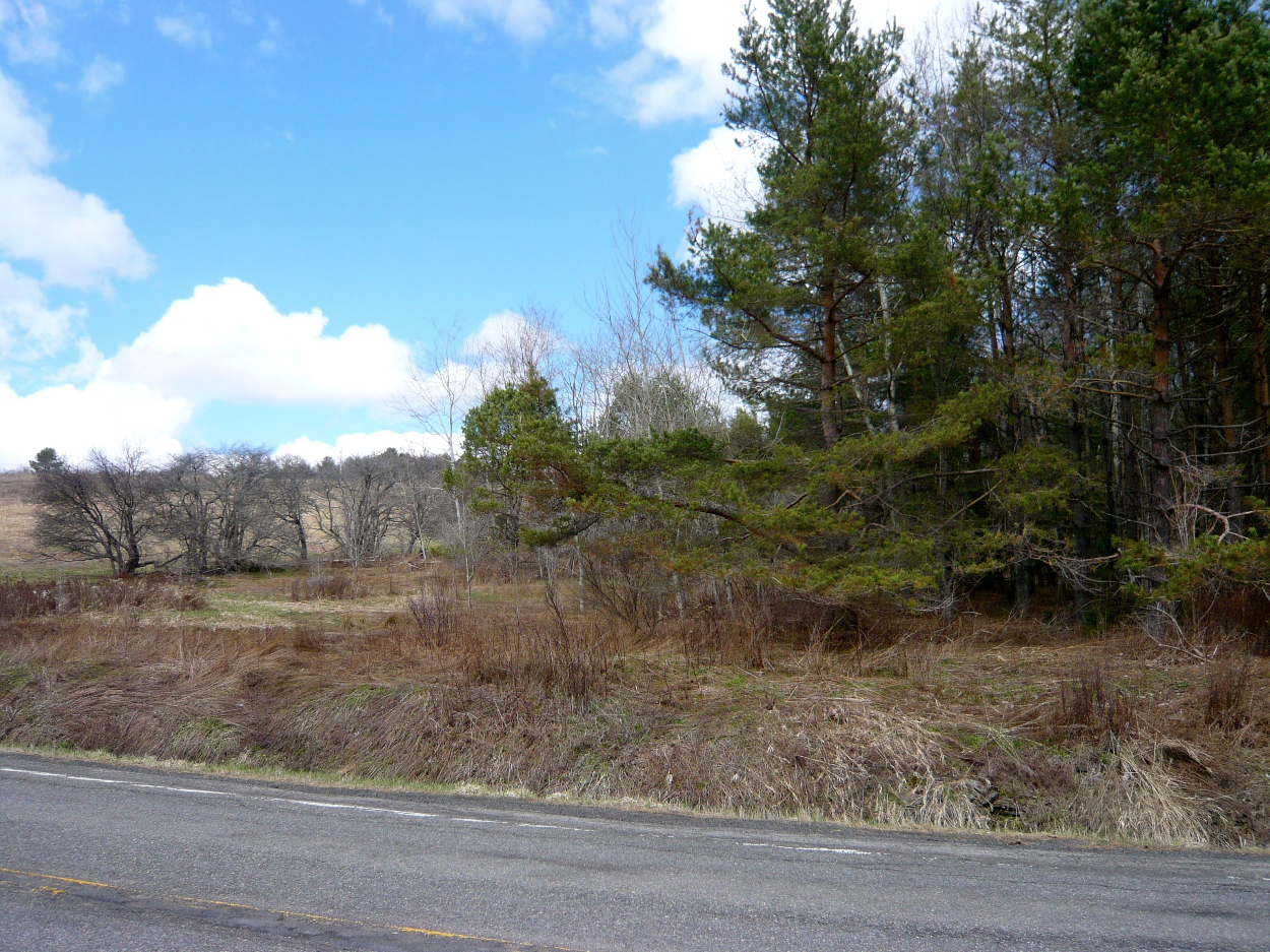 0 State Highway 28, Delhi, NY 13753