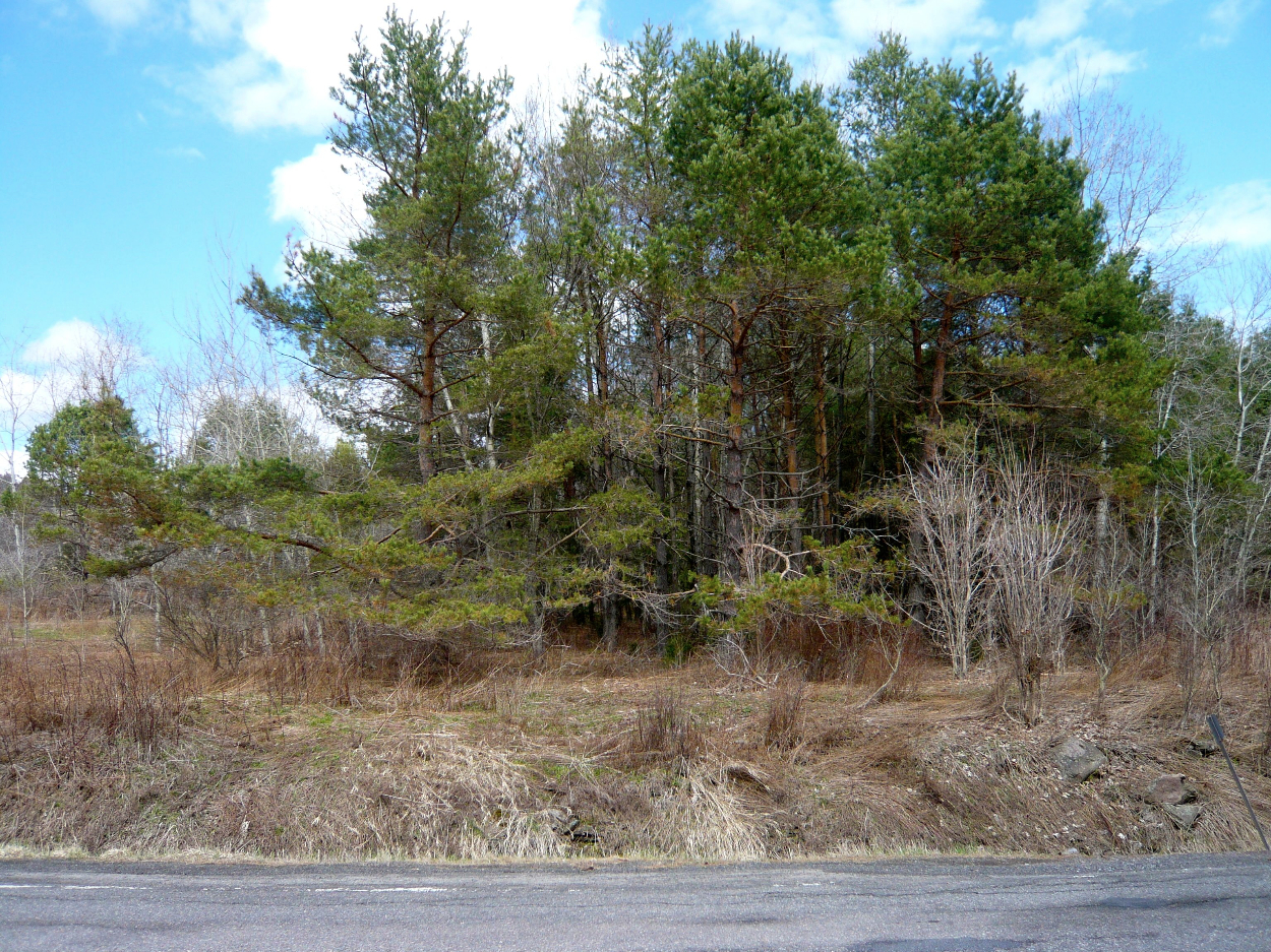 0 State Highway 28, Delhi, NY 13753