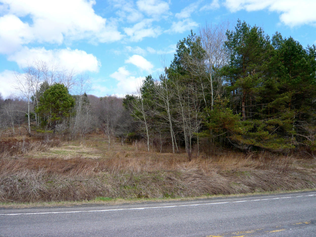 0 State Highway 28, Delhi, NY 13753
