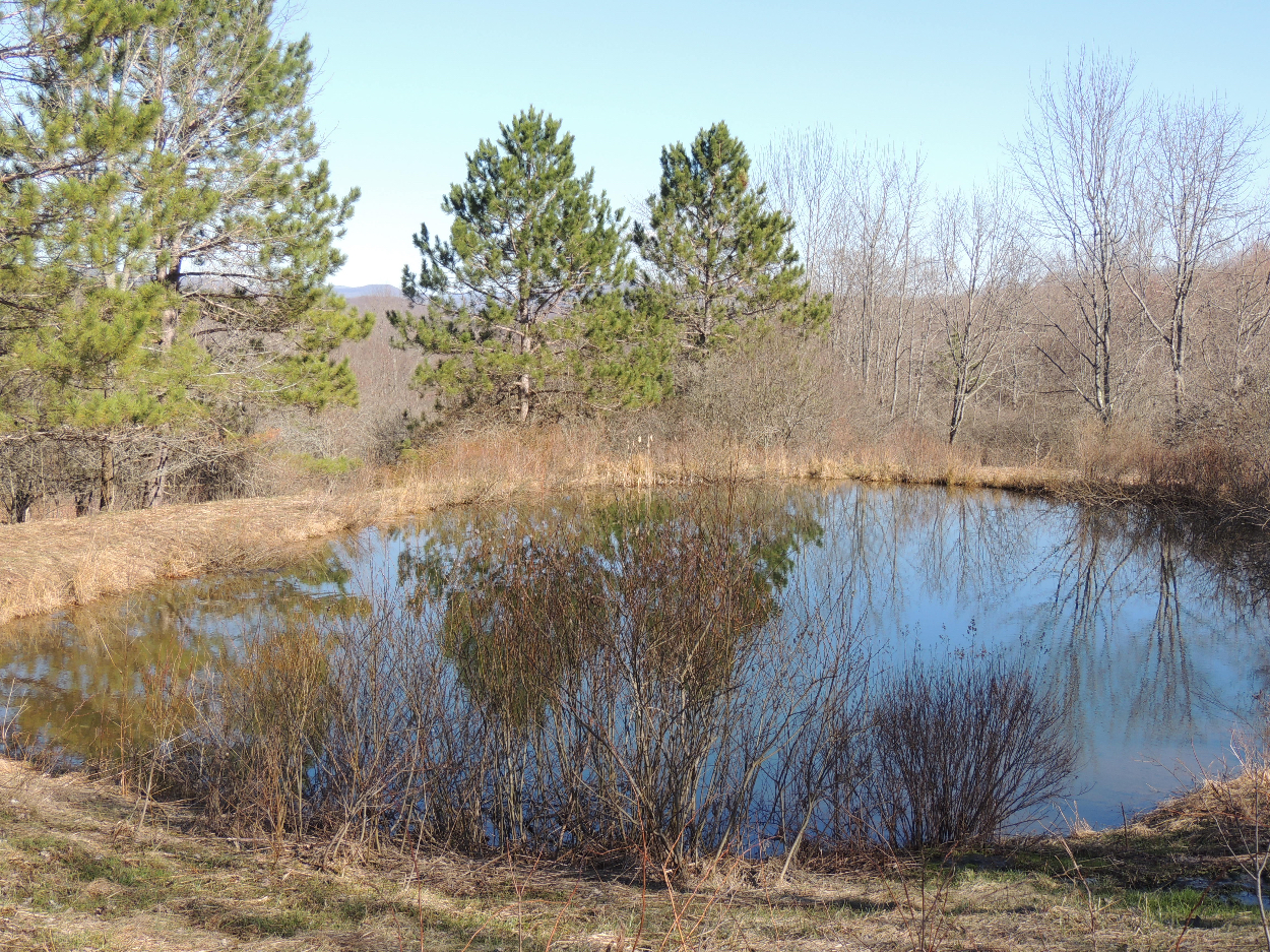 0 Dancing Street, Meredith, NY 13757