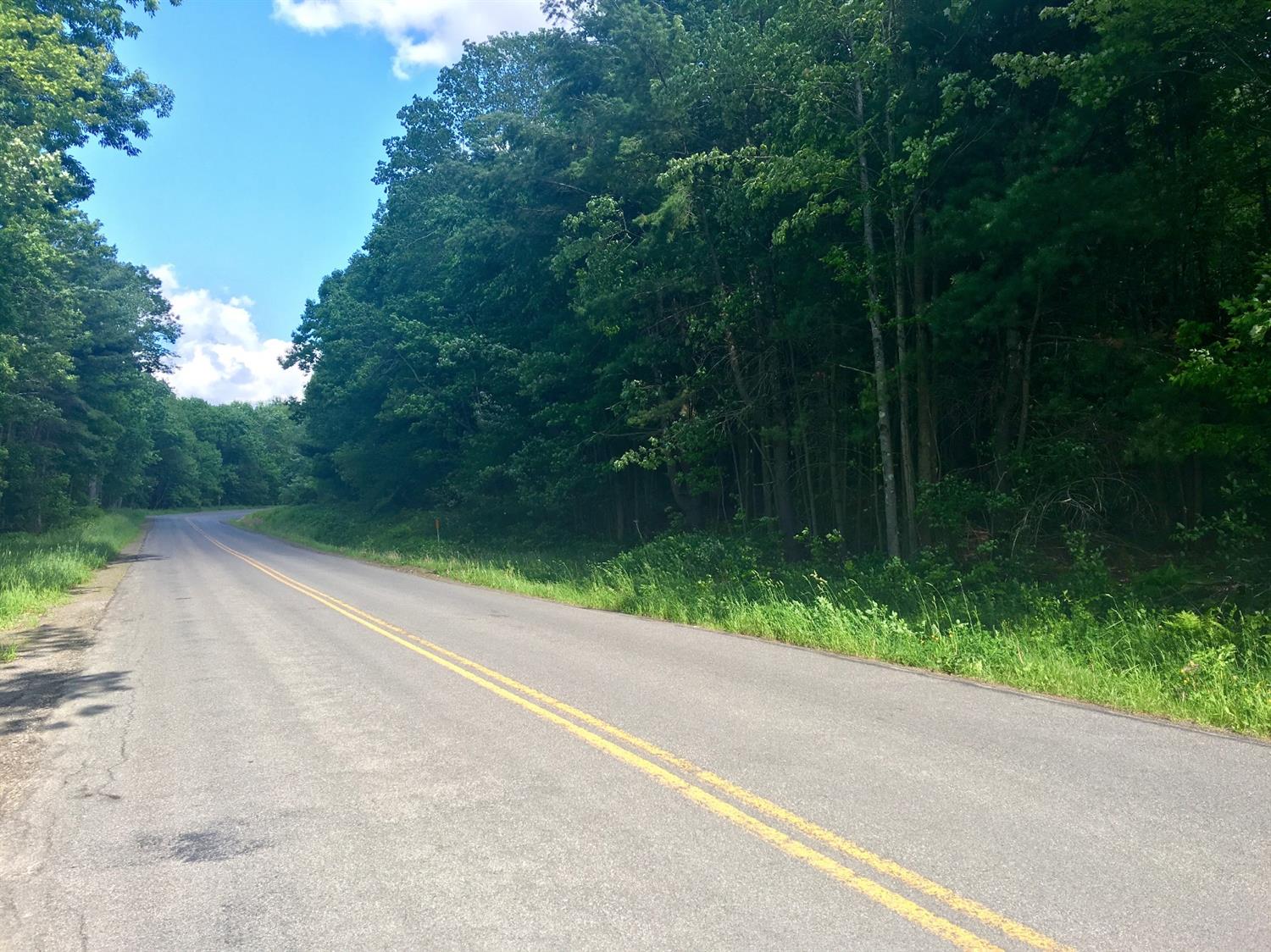 0 County Hwy 8, Butternuts, NY 13776