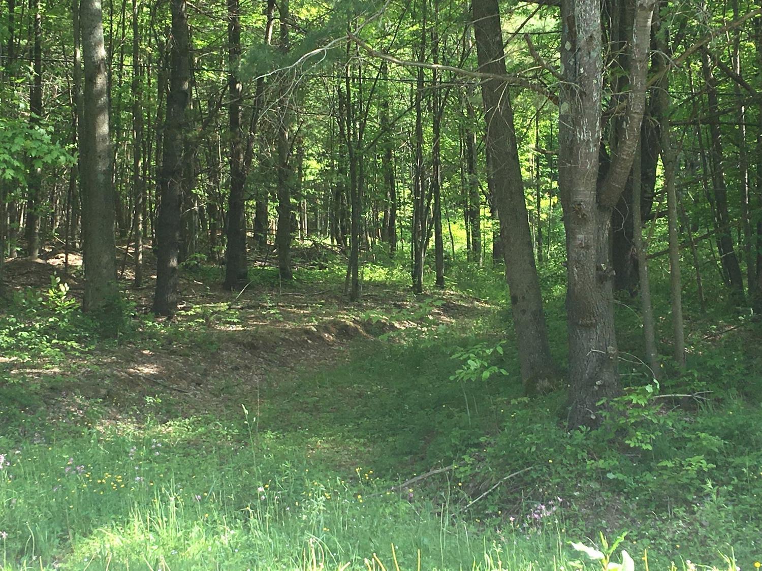 0 County Hwy 8, Butternuts, NY 13776