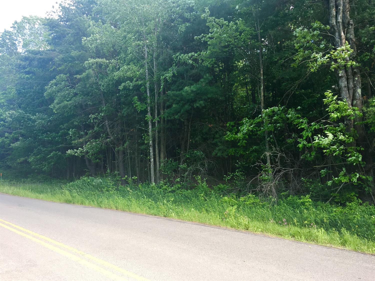 0 County Hwy 8, Butternuts, NY 13776
