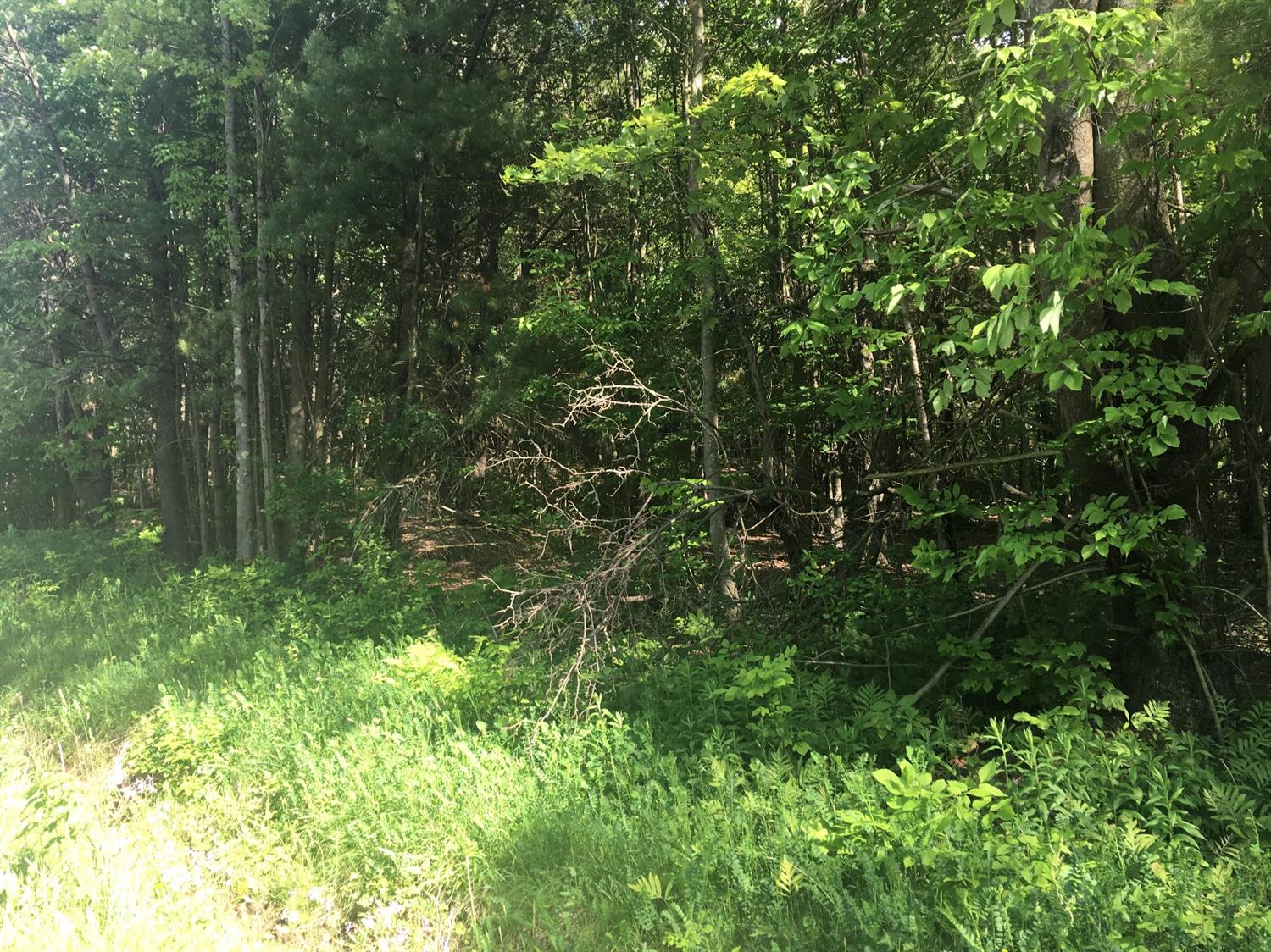 0 County Hwy 8, Butternuts, NY 13776