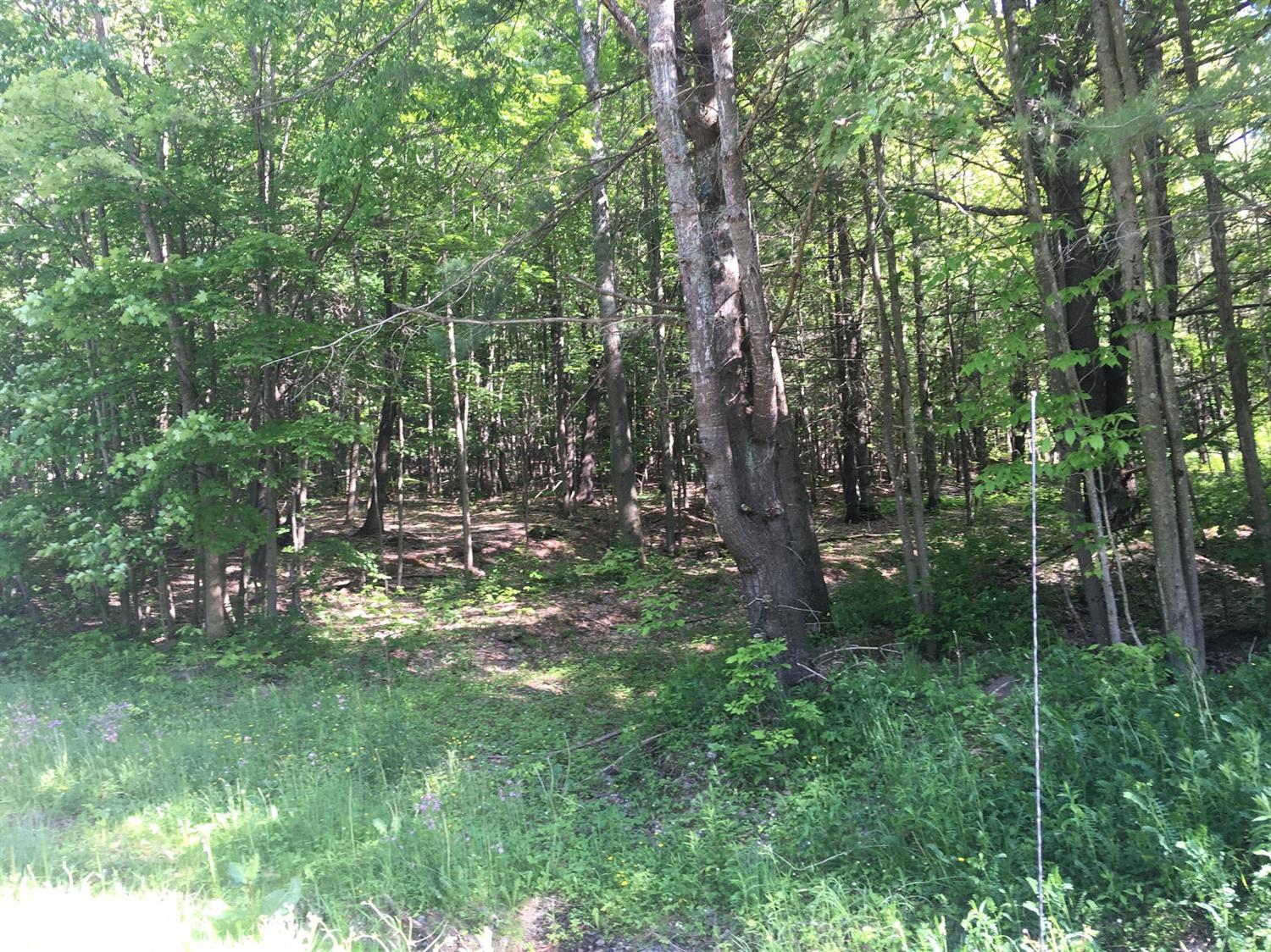 0 County Hwy 8, Butternuts, NY 13776