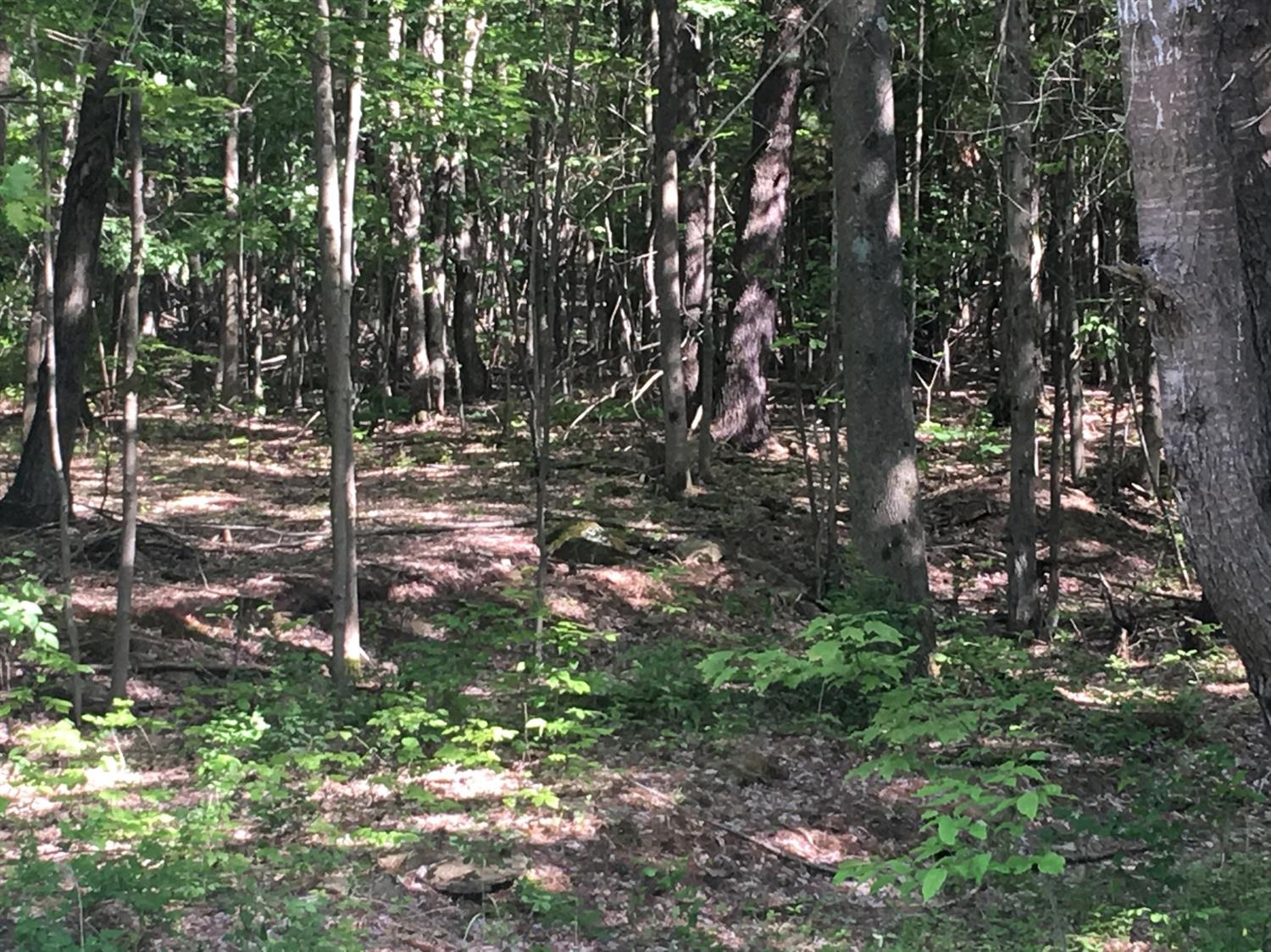 0 County Hwy 8, Butternuts, NY 13776