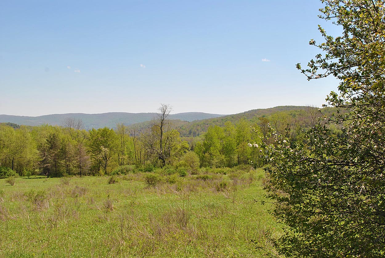 Hamden Hill Road, Hamden, NY 13782
