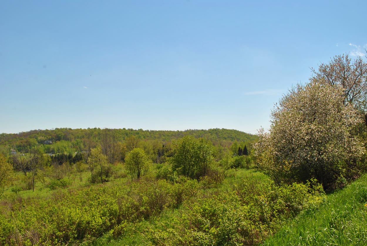 Hamden Hill Road, Hamden, NY 13782