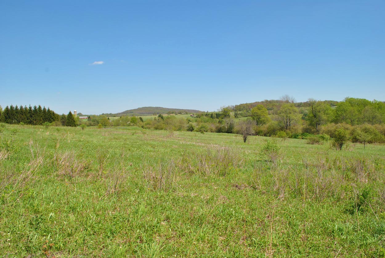 Hamden Hill Road, Hamden, NY 13782
