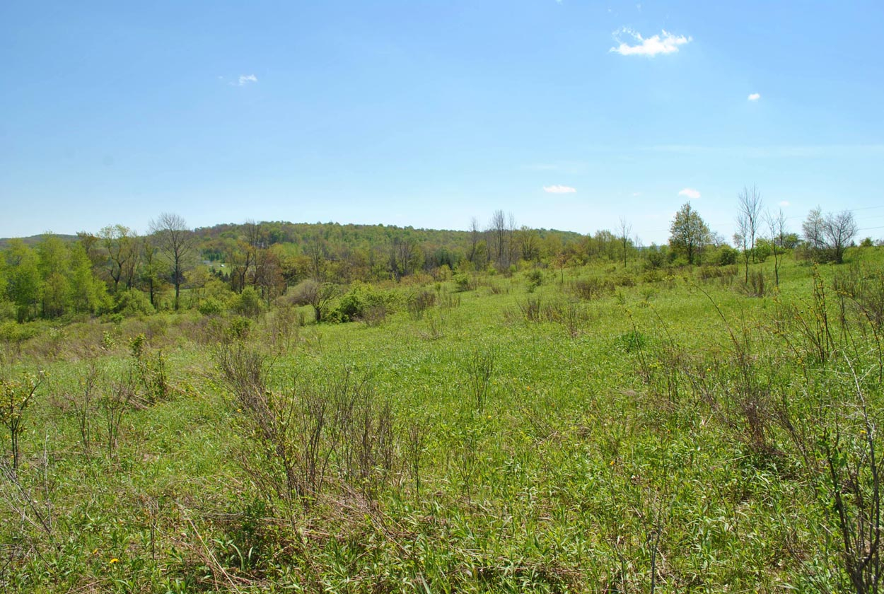 Hamden Hill Road, Hamden, NY 13782
