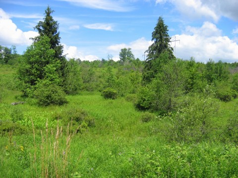 Crystal Creek Road, Hamden, NY 13782