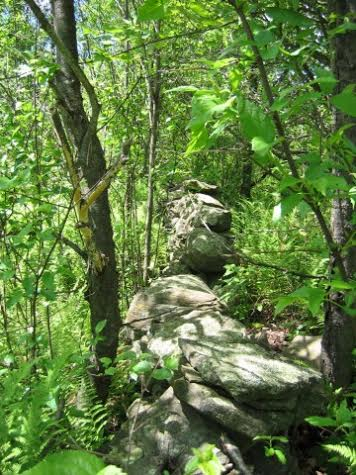 Crystal Creek Road, Hamden, NY 13782