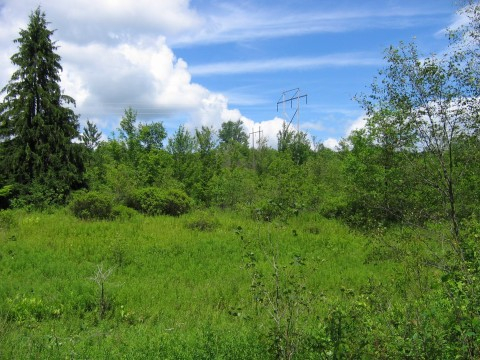 Crystal Creek Road, Hamden, NY 13782