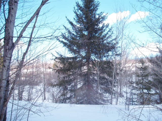 Crystal Creek Road, Hamden, NY 13782