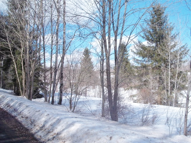 Crystal Creek Road, Hamden, NY 13782