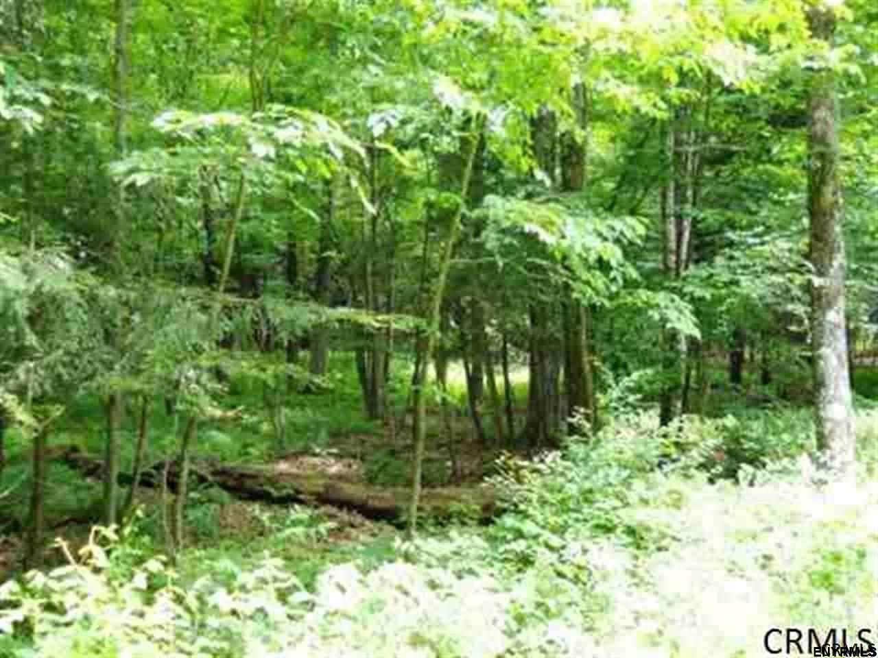 0 WOOD RD, Harpersfield, NY 13786