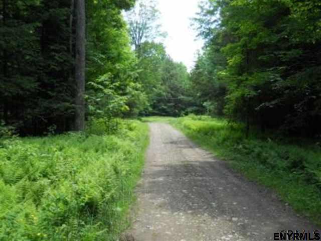 0 WOOD RD, Harpersfield, NY 13786