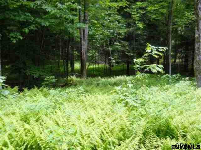 0 WOOD RD, Harpersfield, NY 13786