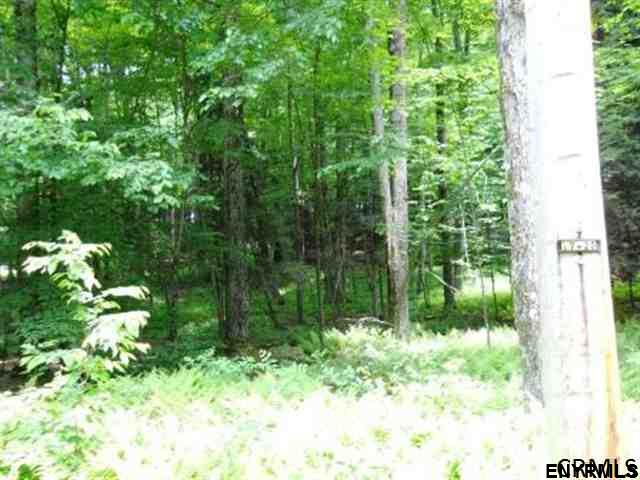 0 WOOD RD, Harpersfield, NY 13786
