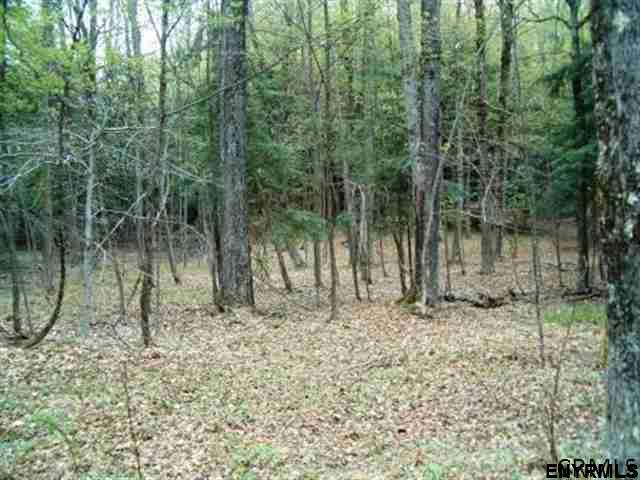 0 WOOD RD, Harpersfield, NY 13786
