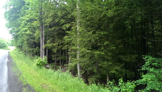 Austin Road, Harpersfield, NY 13786
