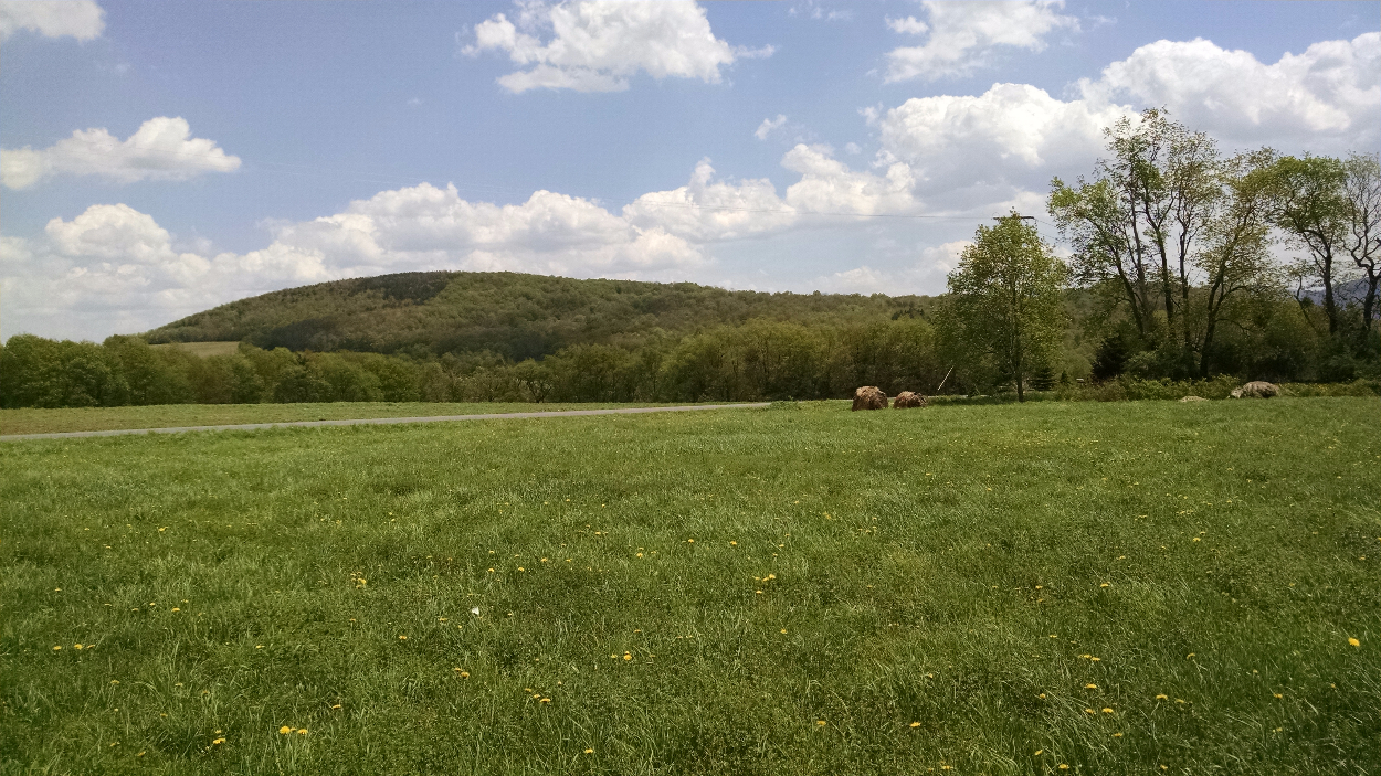 00 Whiskey Hollow Road, Harpersfield, NY 13786