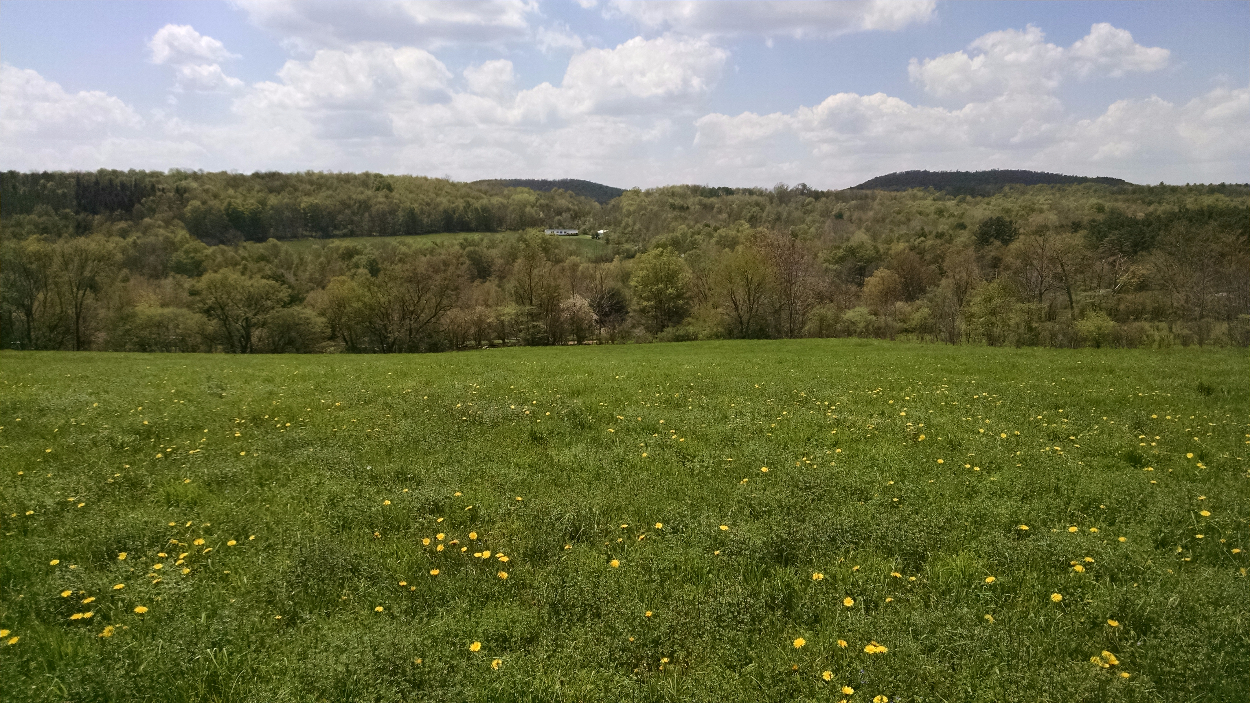 00 Whiskey Hollow Road, Harpersfield, NY 13786